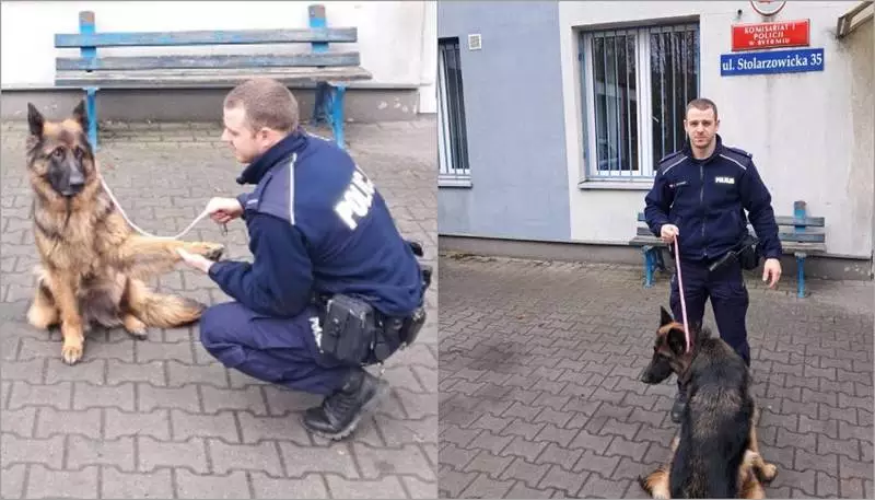 Bytomski policjant w drodze na służbę uratował psa!