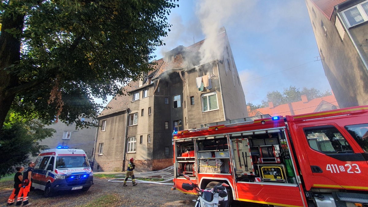 598500d7-4cf2-4e42-9f04-50fe6da0a047 (1).jpg