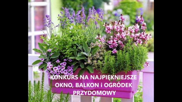 W Bytomiu wystartował konkurs na najładniejsze okno, balkon i ogródek przydomowy