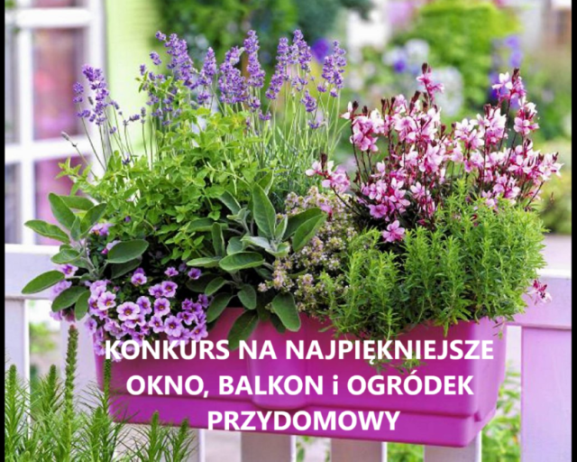 W Bytomiu wystartował konkurs na najładniejsze okno, balkon i ogródek przydomowy