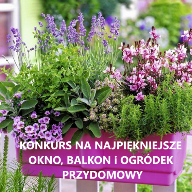 W Bytomiu wystartował konkurs na najładniejsze okno, balkon i ogródek przydomowy