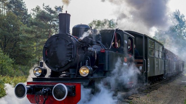 Górnośląskie Koleje Wąskotorowe świętują 75-lecie popularnego parowozu „Ryś”