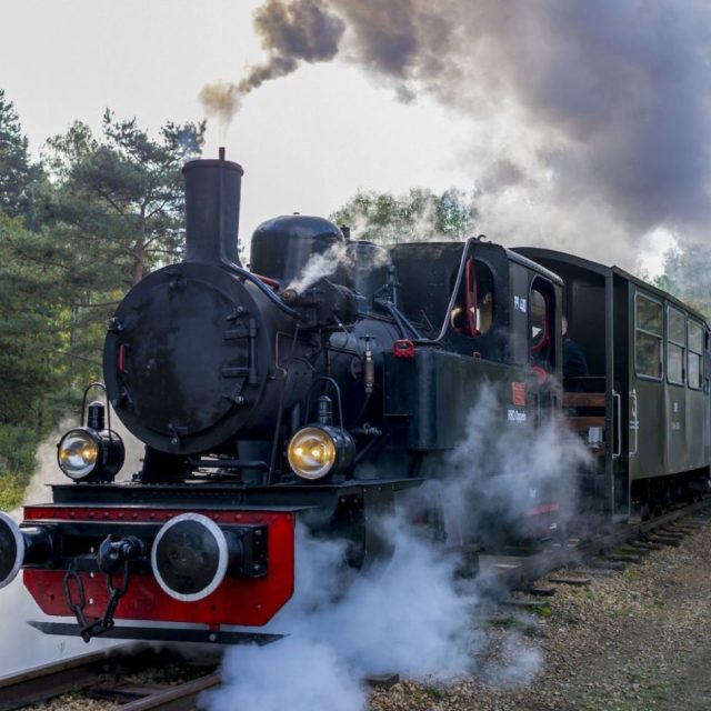 Górnośląskie Koleje Wąskotorowe świętują 75-lecie popularnego parowozu „Ryś”