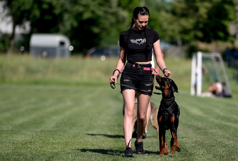 2025.06.20 - Piknikowo w Suchej Górze - fotoreportaż