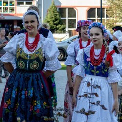 Wysztiglowani w Miechowicach