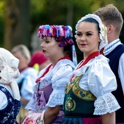 Wysztiglowani w Miechowicach