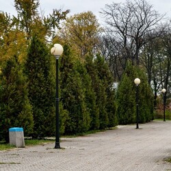 Bytom inwestuje w nowoczesne oświetlenie: 46 nowych opraw LED na ulicach i w parkach!