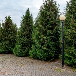 Bytom inwestuje w nowoczesne oświetlenie: 46 nowych opraw LED na ulicach i w parkach!