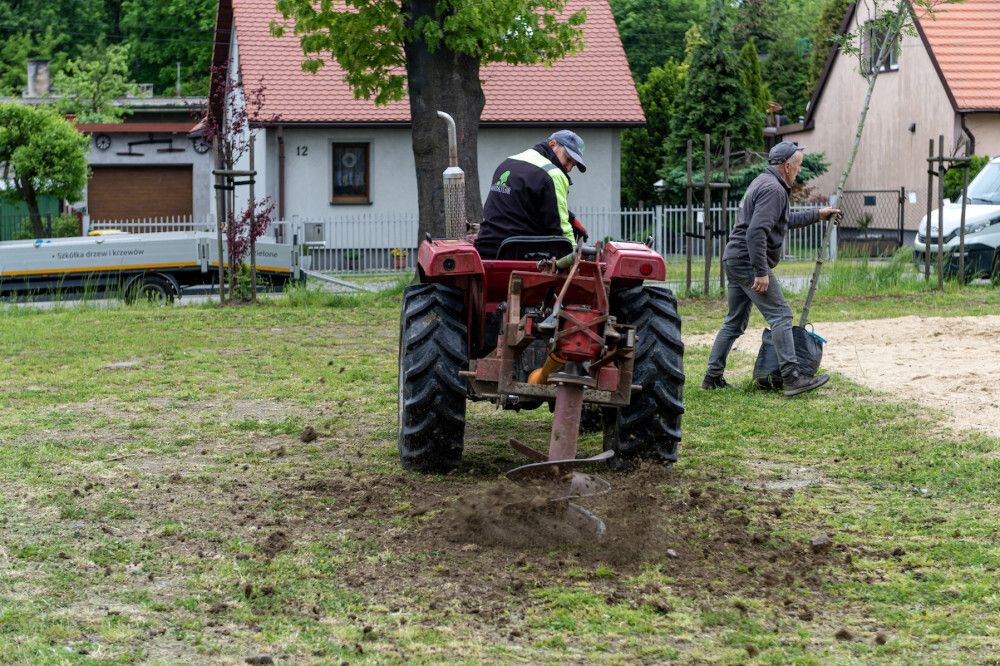 76 nowych drzew do końca maja w Bytomiu/fot. UM Bytom
