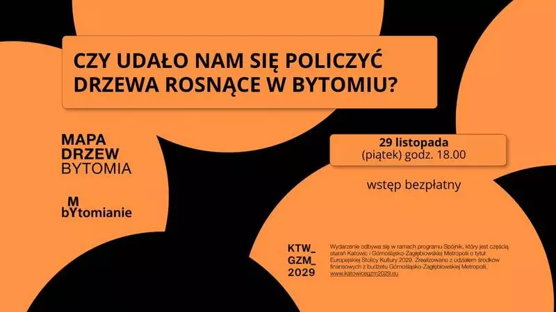 Ile drzew rośnie w Bytomiu? Sprawdź wyniki społecznej inwentaryzacji