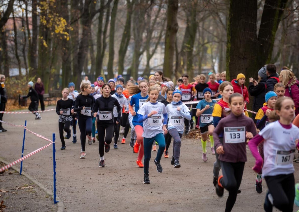 Za nami Mistrzostwa Śląska w biegach przełajowych [ZDJĘCIA] / fot. MKS MOSM Bytom