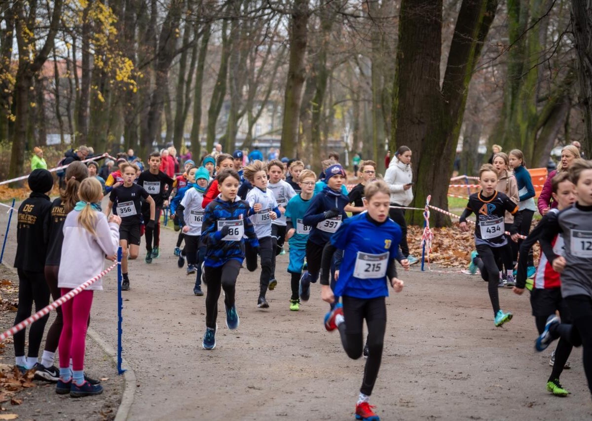 Za nami Mistrzostwa Śląska w biegach przełajowych [ZDJĘCIA] / fot. MKS MOSM Bytom