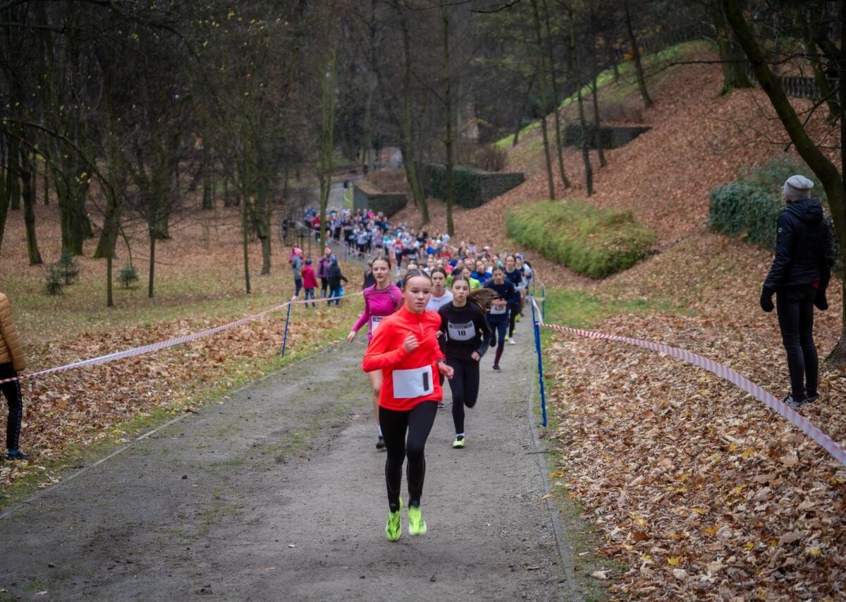 Za nami Mistrzostwa Śląska w biegach przełajowych [ZDJĘCIA] / fot. MKS MOSM Bytom