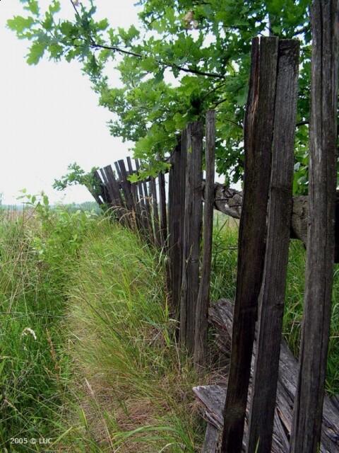 Płot